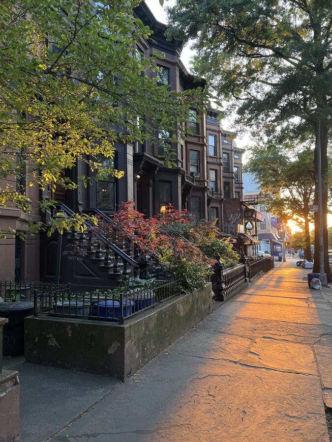 Union Street in Park Slope
